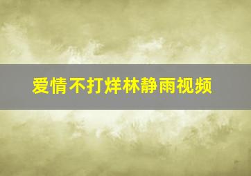 爱情不打烊林静雨视频