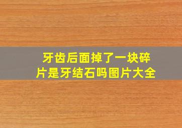 牙齿后面掉了一块碎片是牙结石吗图片大全