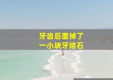 牙齿后面掉了一小块牙结石