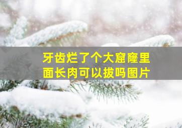 牙齿烂了个大窟窿里面长肉可以拔吗图片