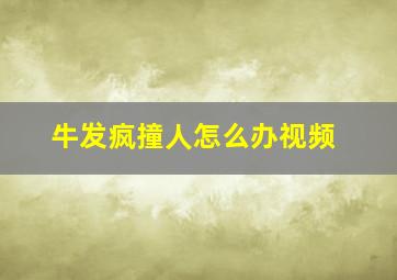 牛发疯撞人怎么办视频