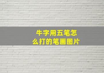 牛字用五笔怎么打的笔画图片