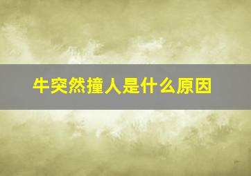 牛突然撞人是什么原因