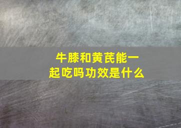 牛膝和黄芪能一起吃吗功效是什么