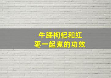 牛膝枸杞和红枣一起煮的功效