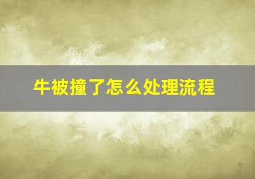 牛被撞了怎么处理流程