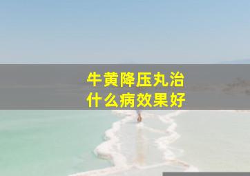 牛黄降压丸治什么病效果好