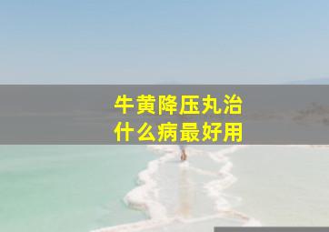 牛黄降压丸治什么病最好用