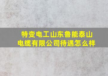 特变电工山东鲁能泰山电缆有限公司待遇怎么样