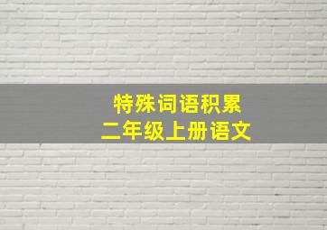 特殊词语积累二年级上册语文