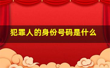 犯罪人的身份号码是什么