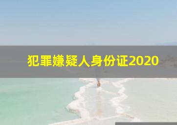 犯罪嫌疑人身份证2020