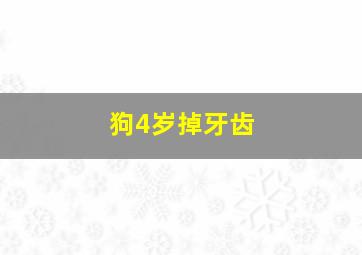 狗4岁掉牙齿