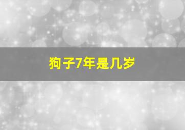 狗子7年是几岁