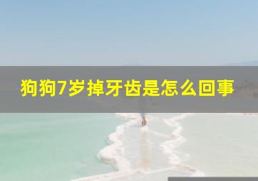 狗狗7岁掉牙齿是怎么回事