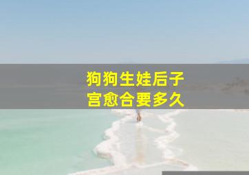 狗狗生娃后子宫愈合要多久