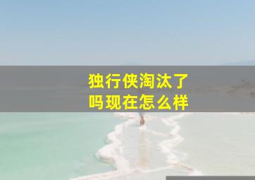 独行侠淘汰了吗现在怎么样