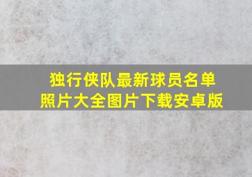 独行侠队最新球员名单照片大全图片下载安卓版