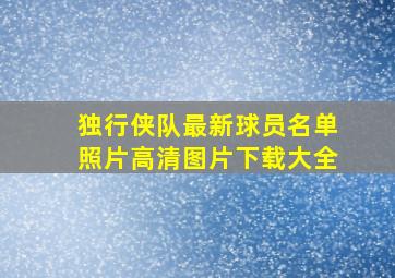 独行侠队最新球员名单照片高清图片下载大全