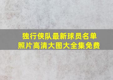 独行侠队最新球员名单照片高清大图大全集免费