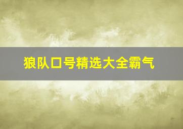 狼队口号精选大全霸气