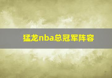 猛龙nba总冠军阵容