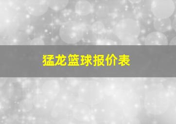 猛龙篮球报价表