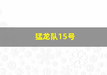 猛龙队15号