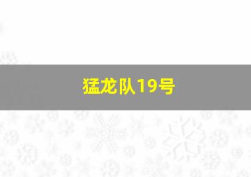 猛龙队19号