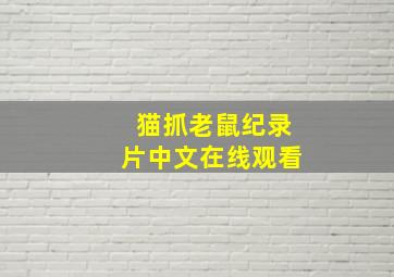 猫抓老鼠纪录片中文在线观看