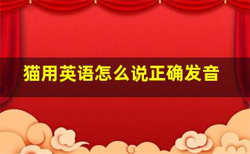 猫用英语怎么说正确发音