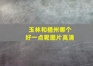 玉林和梧州哪个好一点呢图片高清