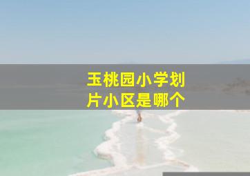 玉桃园小学划片小区是哪个