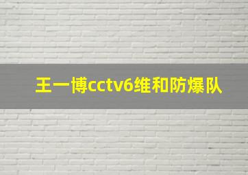 王一博cctv6维和防爆队