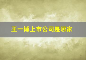 王一博上市公司是哪家