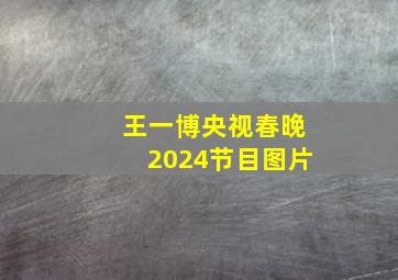 王一博央视春晚2024节目图片