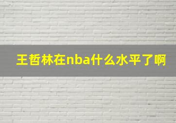 王哲林在nba什么水平了啊