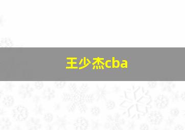 王少杰cba