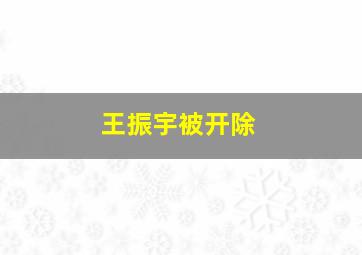 王振宇被开除