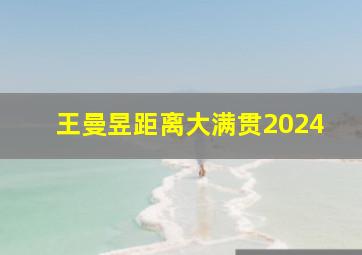 王曼昱距离大满贯2024