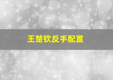 王楚钦反手配置