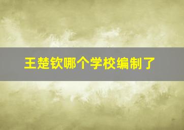 王楚钦哪个学校编制了