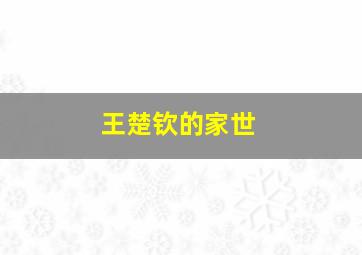 王楚钦的家世