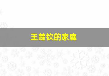 王楚钦的家庭