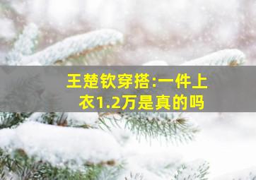 王楚钦穿搭:一件上衣1.2万是真的吗