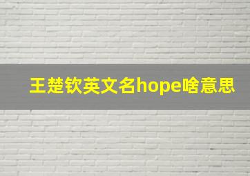 王楚钦英文名hope啥意思