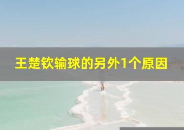 王楚钦输球的另外1个原因