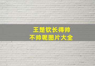 王楚钦长得帅不帅呢图片大全