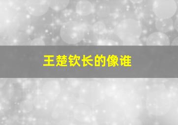 王楚钦长的像谁