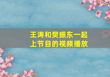 王涛和樊振东一起上节目的视频播放